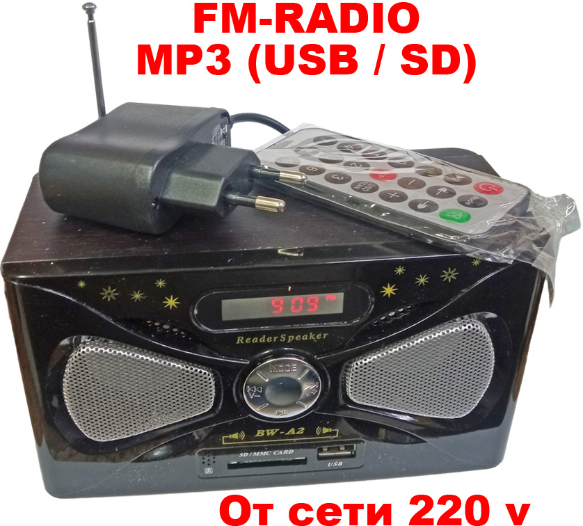 ������������� BW-A6 � �������� �� 220v c USB 