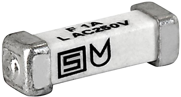  3405.0166.24 SMD 1A 250v 10.1x3  